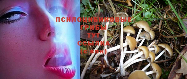 прущая мука Абинск