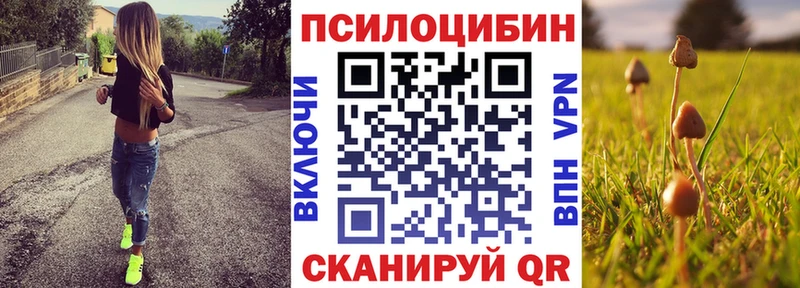 Галлюциногенные грибы Cubensis  KRAKEN зеркало  Туринск 